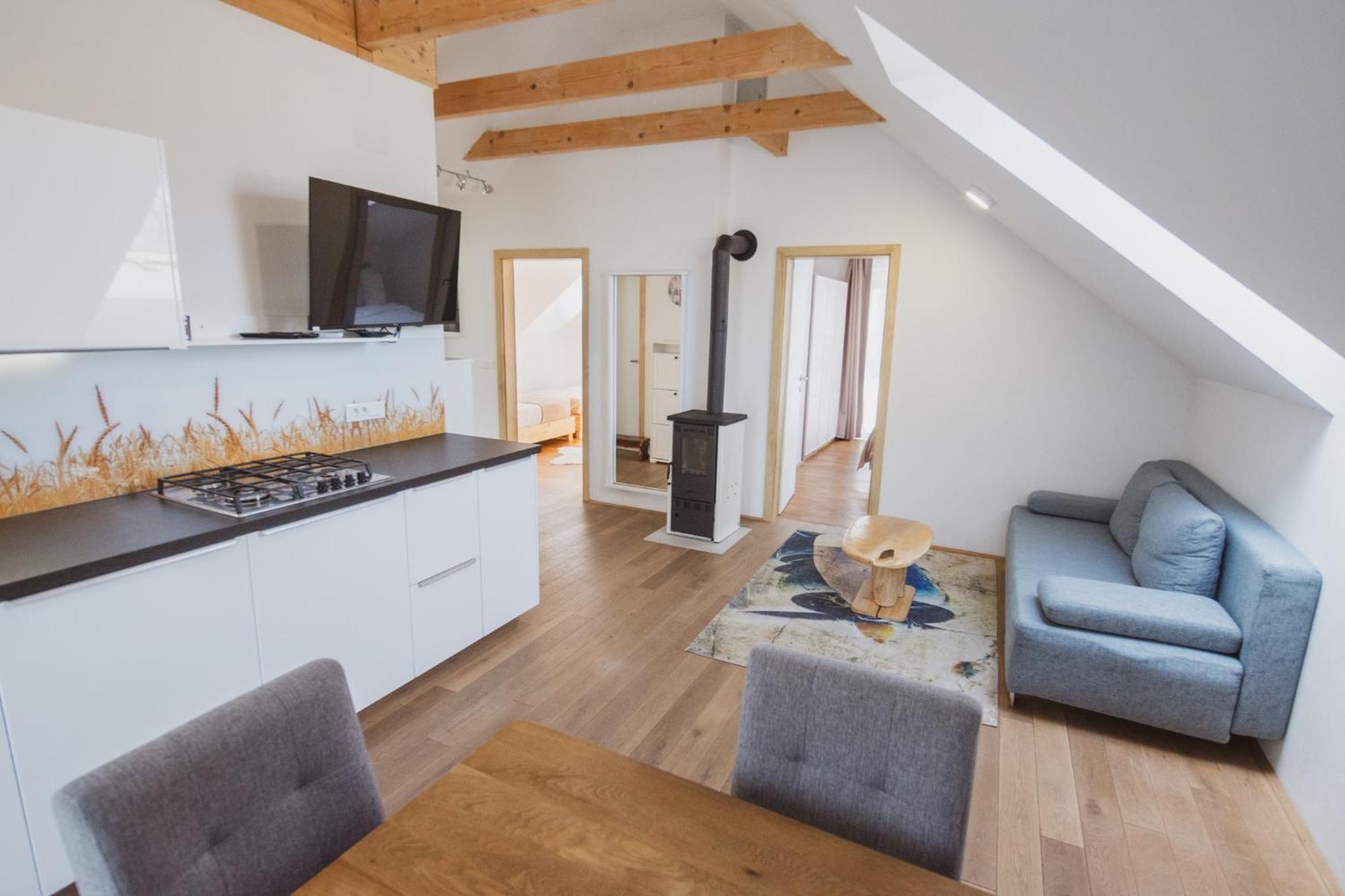 Pr'Fik Apartments Kranj Rum bild